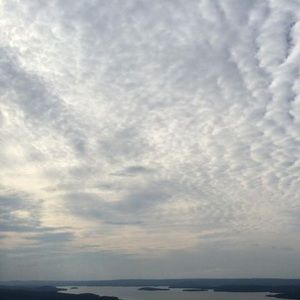 Meet your Posher, Billy